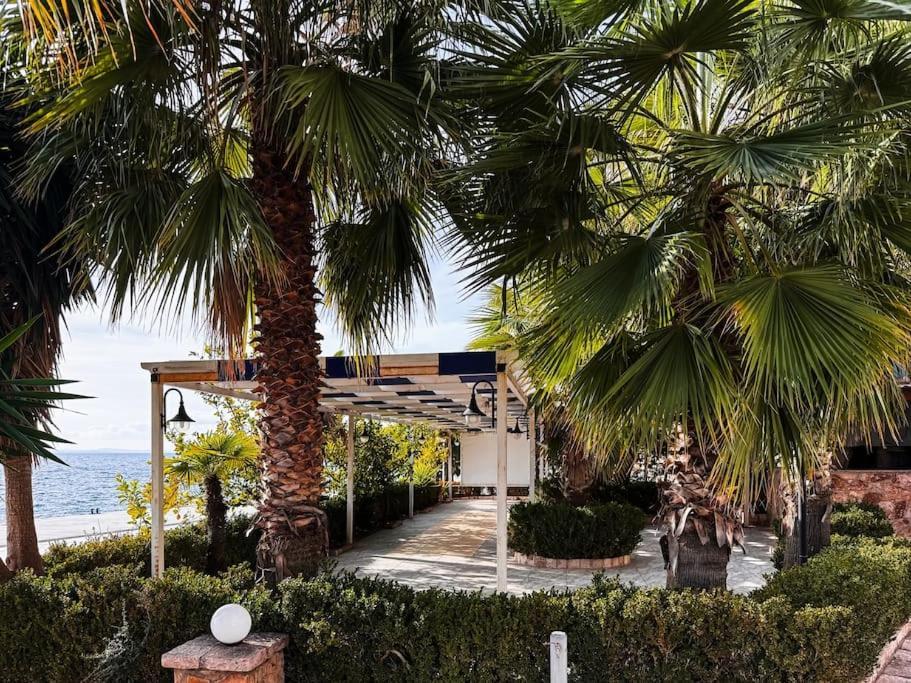 Apartament Alexandra Saranda